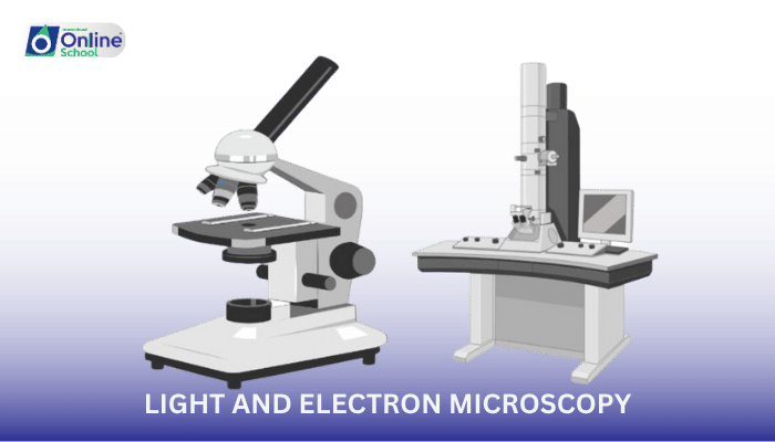 Lesson 02: Unveiling the Microscopic World: Light and Electron Microscopy